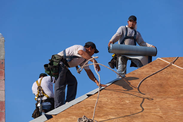 Best Storm Damage Roof Repair  in Orange, OH